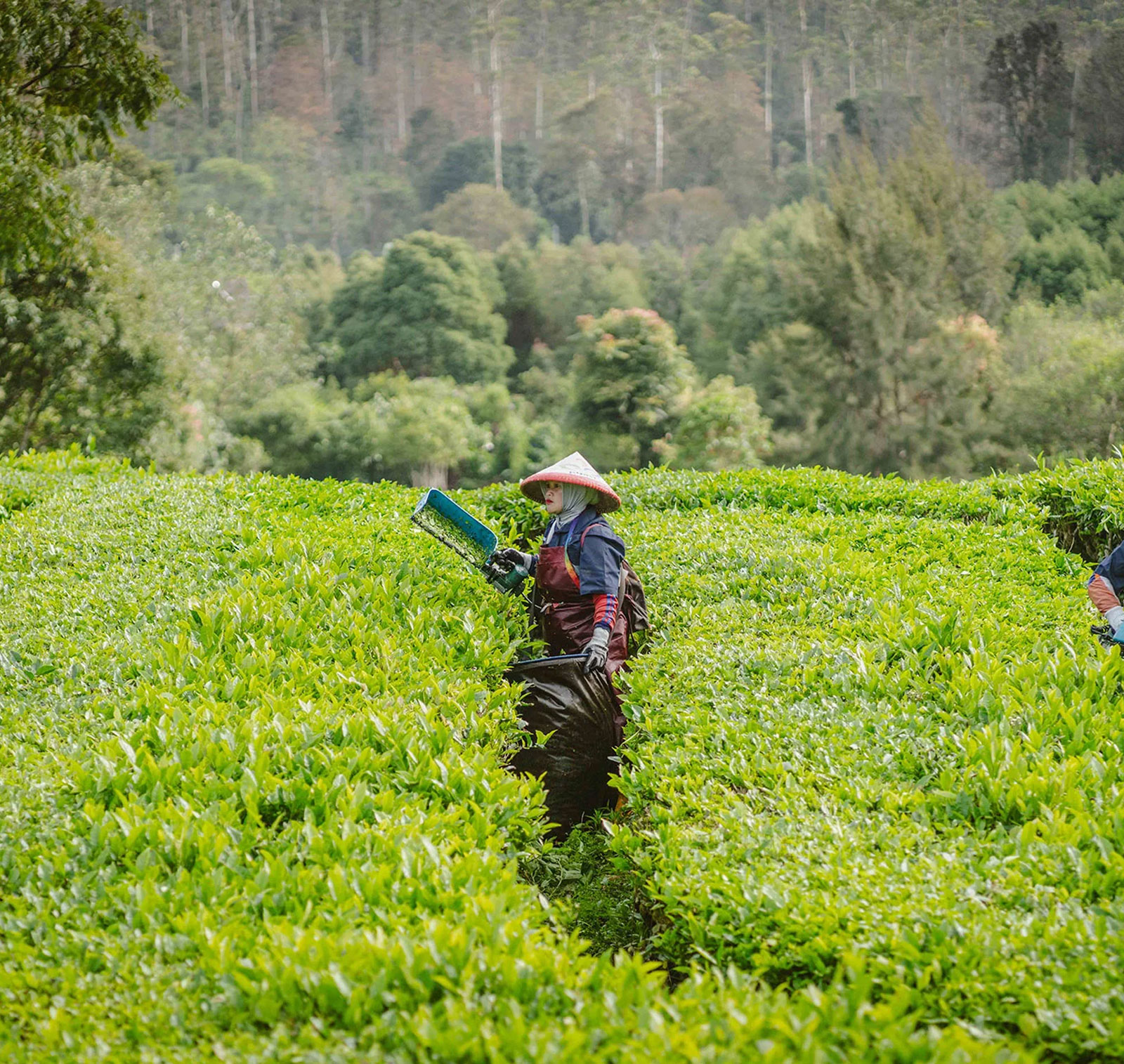 Vårt hållbarhetsarbete
